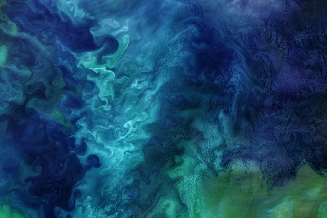 Las aguas frente a la costa de Alaska suelen cobrar vida cada año con llamativas floraciones de fitoplancton que provocan patrones de agua de mar azul y verde, como los observados por el satélite Landsat 8 en junio de 2018.
