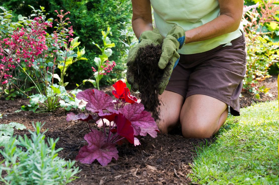 CI_Preen_Mulching-perennial-bed.jpeg