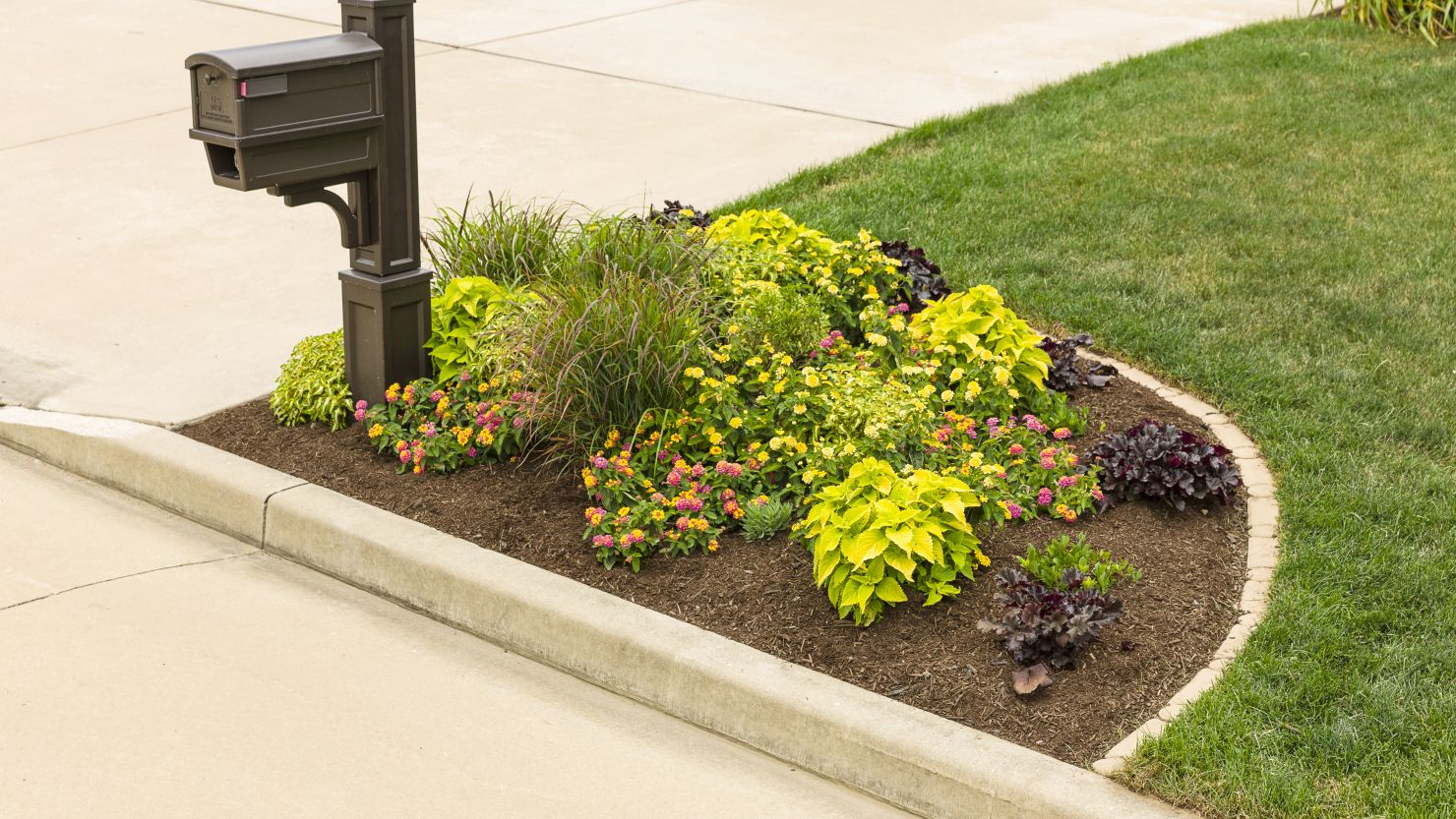 Before you plant that "For Sale" sign in your yard, plant shrubs and flowers to boost your curb appeal.