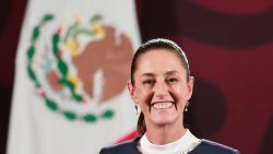 MEXICO CITY, MEXICO - JUNE 10: President-elect of Mexico Claudia Sheinbaum smiles during a press conference at Palacio Nacional on June 10, 2024 in Mexico City, Mexico. (Photo by Hector Vivas/Getty Images)