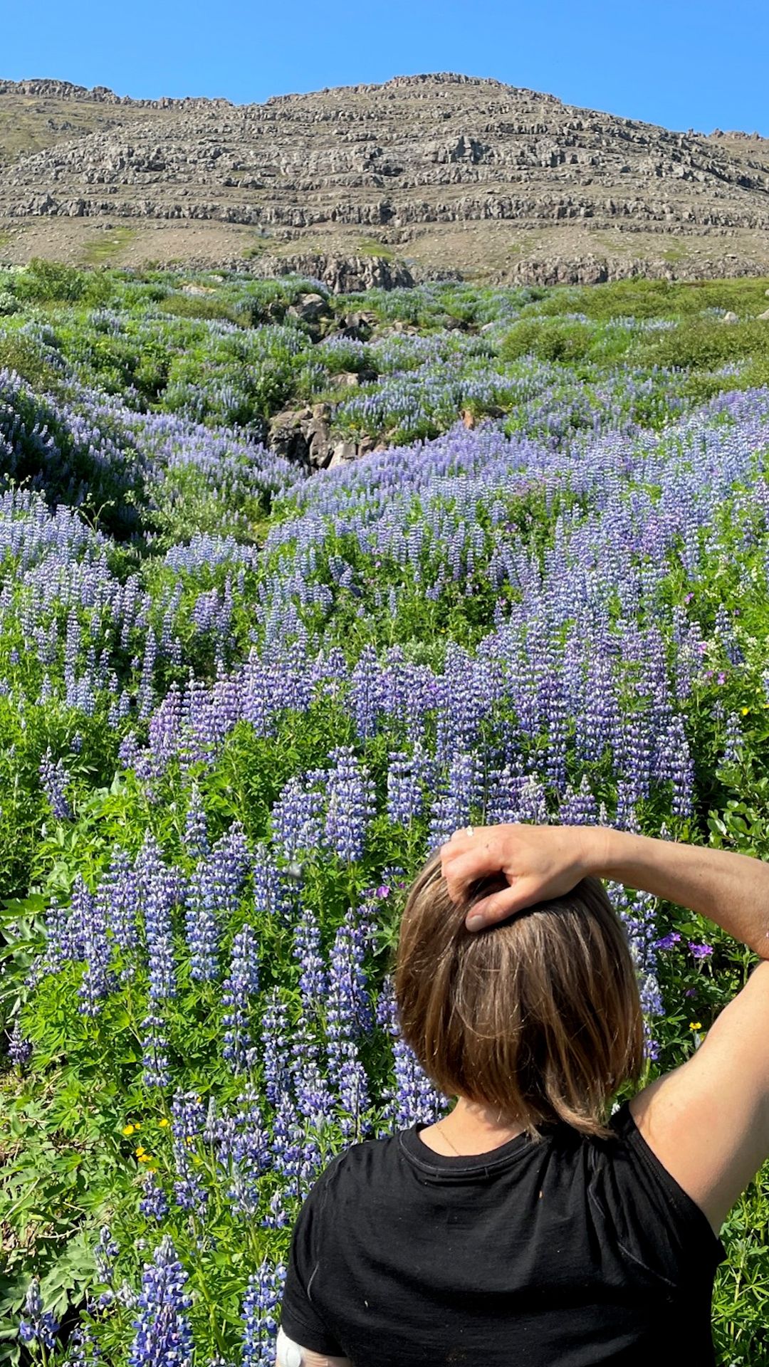 clean iceland thumb.Still003.jpg