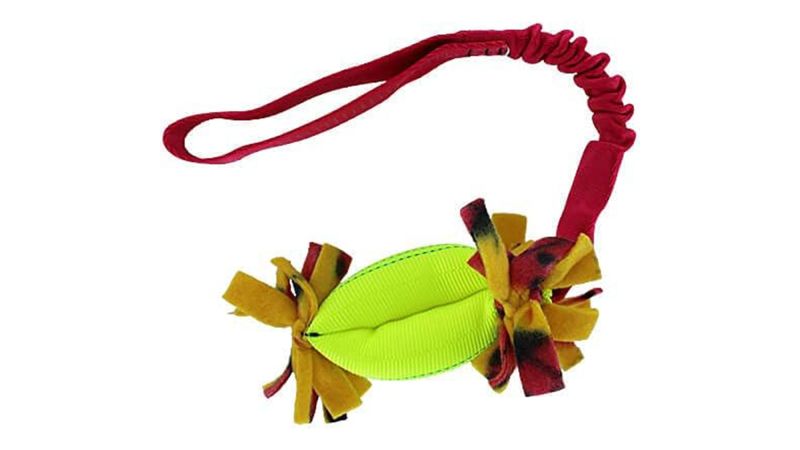 Clean run discount dog toys