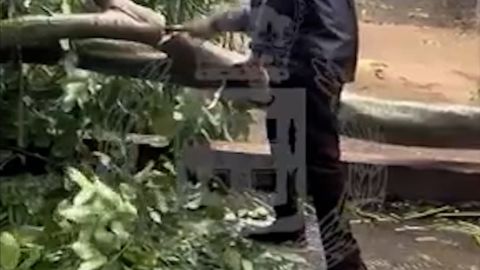 Clean-up operations begin in Jamaica after Hurricane Melissa’s destructive pass-VERT.-CL-vrtc.jpg