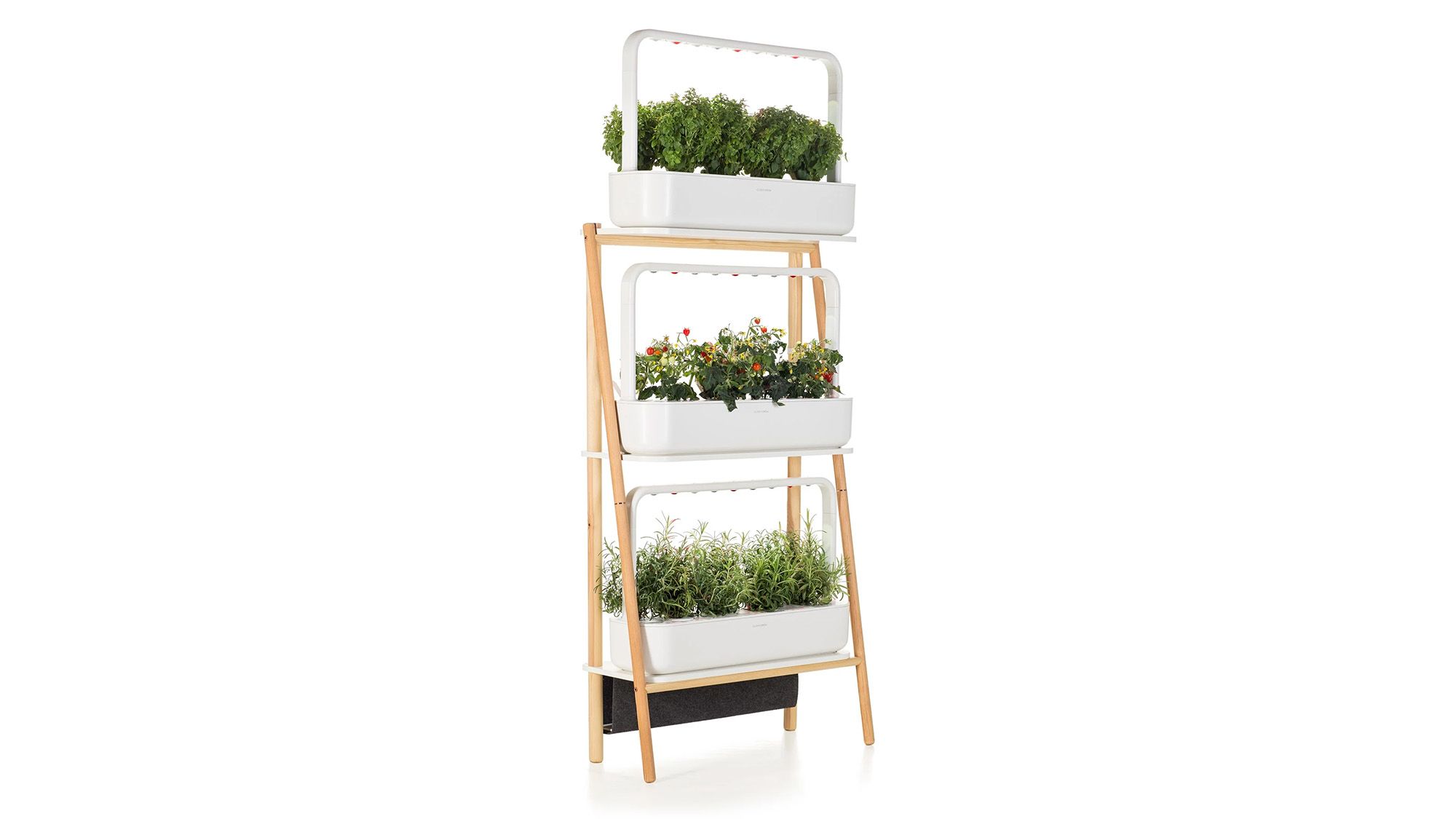 Clickandgrow. Smart Garden click and grow семена