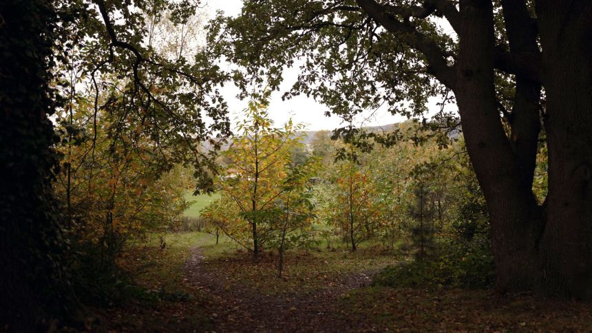 Women convicted of witchcraft were executed in Penenden Heath, in the southern English county of Kent.