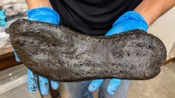 Close-up-of-Magna-XXL-Roman-shoe-32.6cm-(c)-The-Vindolanda-Trust.jpg