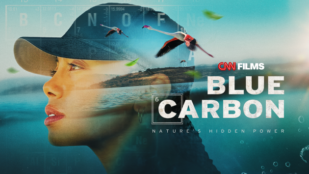 CNN_BLUE_CARBON_16x9_1920x1080.png