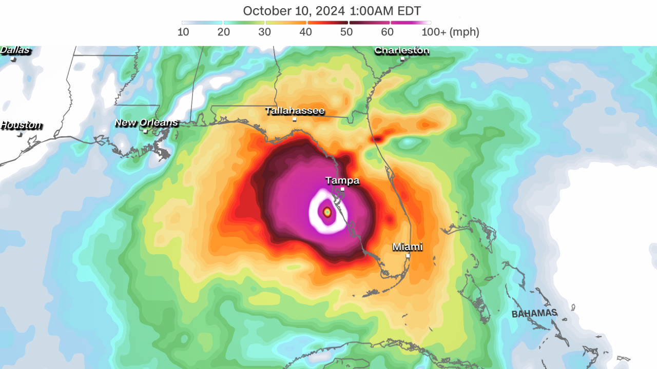 One model depiction of Milton's wind gusts as it approaches landfall Wednesday night.