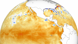 Sea-surface temperature anomalies are shown across a wide swath of the Pacific Ocean on Wednesday, February 7, 2024. Darker oranges represent warmer than normal conditions while blues represent cooler than normal conditions.