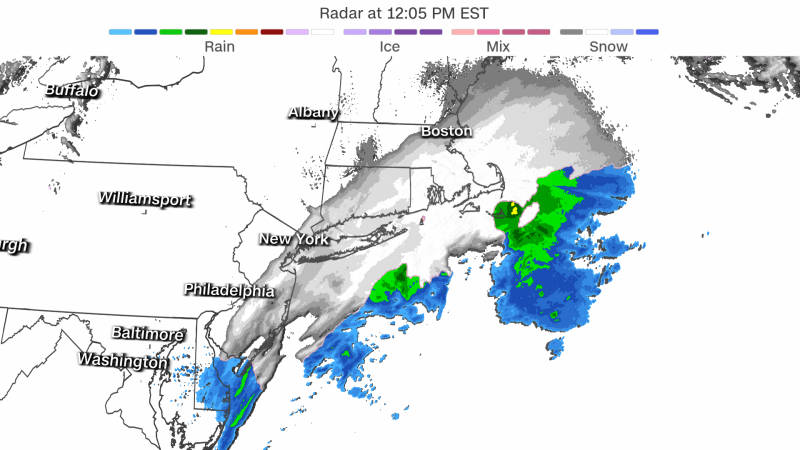 Snow fell under a powerful nor'easter, making it New York City's snowiest day in 2 years