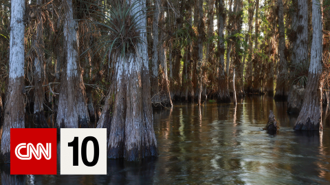 CNN10 Everglades BUG.png