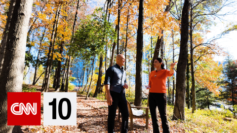 CNN10 Leaves change BUG.png