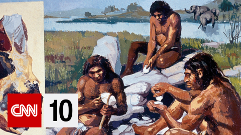CNN10 neanderthals BUG.png