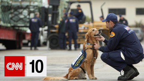 CNN10 Rescue Dogs BUG.png
