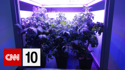cnn10 Space Plant BUG.png