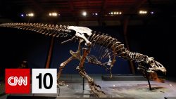 CNN10 TREX Walk Bug.png