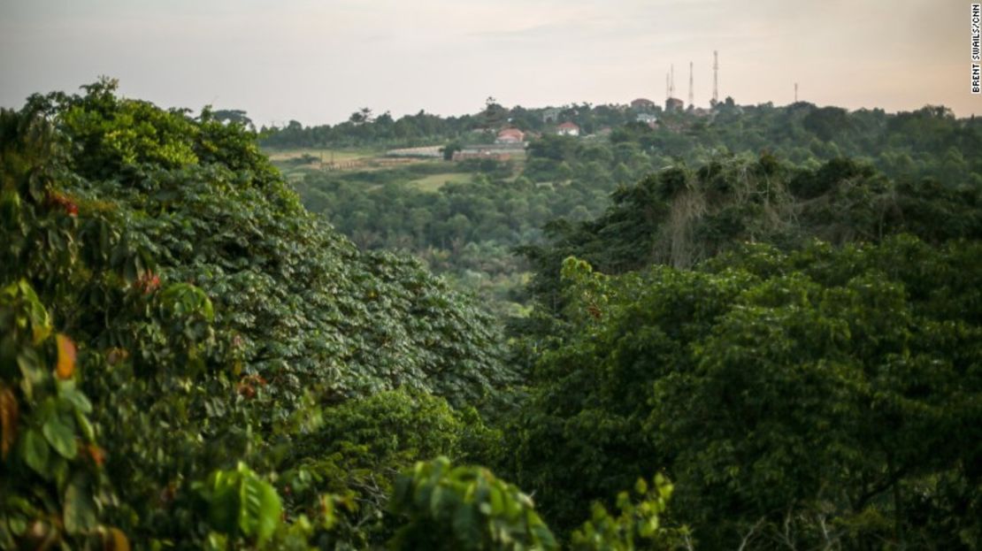 Una subida a la cima de la torre que el abuelo de Andrew Haddow ayudó a construir hace más de medio siglo revela una vista del que alguna vez fue un remoto puesto de investigación ahora totalmente rodeado de los centros urbanos de Uganda. Cualquier nuevo virus descubierto aquí ya no se consideraría remoto.