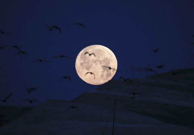 Aves vuelan frente a la luna en Ankara, Turquía. Dogukan Keskinkilic / Agencia Anadolu / Getty Images