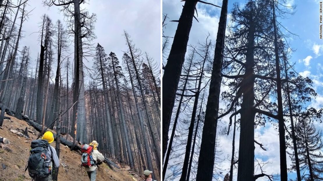 Fotos del Servicio de Parques Nacionales muestran el impacto de los incendios.