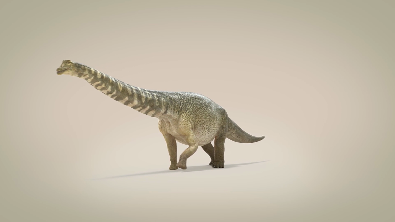 CNNE 1009451 - este dinosaurio fue de los mas grandes del mundo