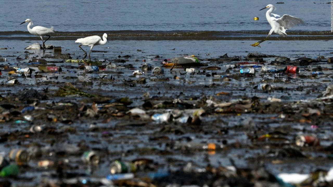 CNNE 1009724 - los paises que mas desperdicios plasticos generan