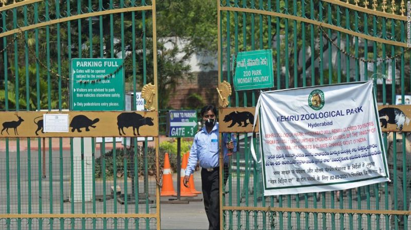 La india cierra todas sus reservas de tigres tras brote de covid-19 en zoológicos | cnn