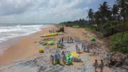 CNNE 1010591 - alerta en sri lanka por contaminacion en el mar