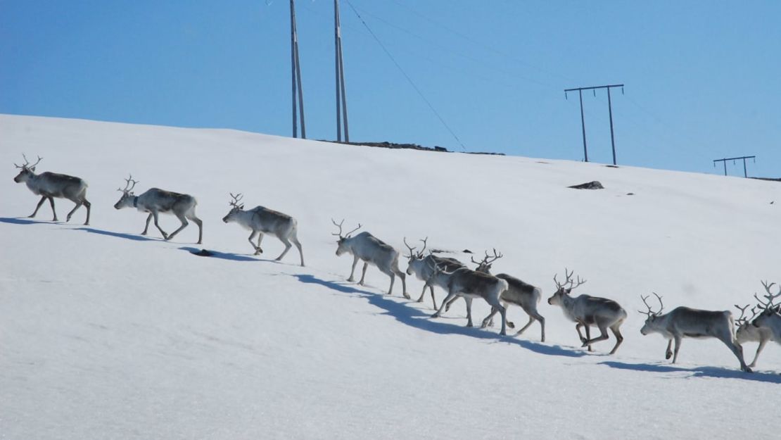 Miozzo dice que los habitantes de Kongsfjord se convirtieron en una familia para ella. Foto: Valentina Miozzo/ViaggiareLibera