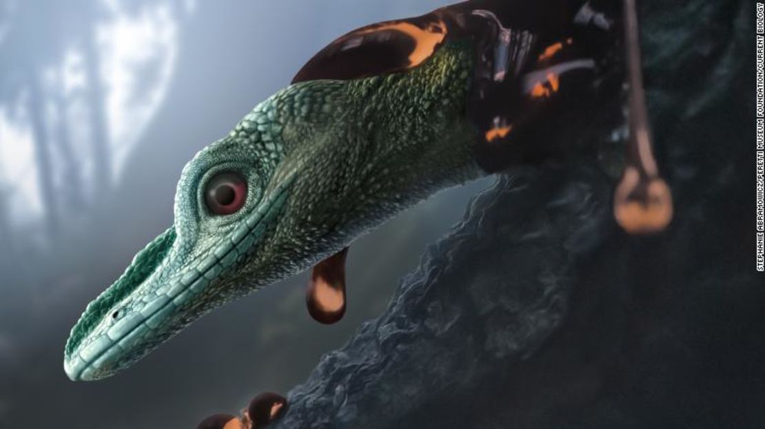 Oculudentavis naga, representado en la impresión de este artista, es un lagarto extraño que la investigación inicialmente categorizó como un pequeño dinosaurio parecido a un pájaro.