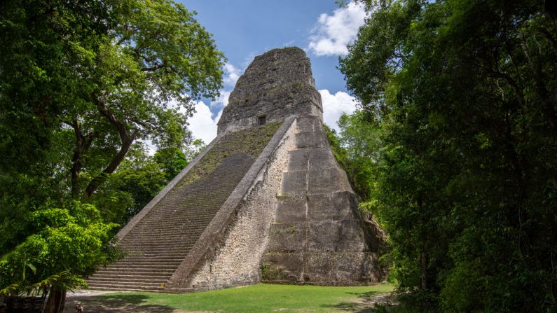"El Templo V de Tikal, construido por la civilización maya alrededor de 700 d.C., está rodeado de mucha flora y fauna tropical", cuenta Hartmann.