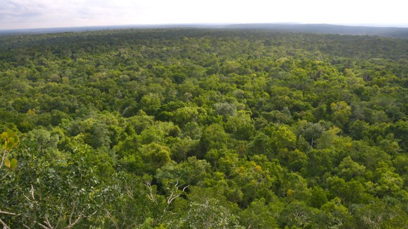 El Mirador, desde la pirámide "La Danta", ubicado en la Biosfera Maya, "el área protegida más grande de Mesoamérica [desde donde] se logra ver 360 grados de selva hasta el horizonte", dice el fotógrafo Christian Hartmann.