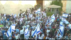 CNNE 1015255 - asi fue la marcha de las banderas en israel