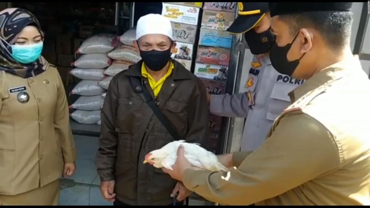 CNNE 1015616 - indonesia regala pollos vivos a los vacunados