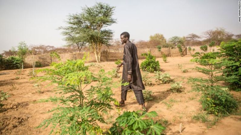 Ibarhima Diawara, de 36 años, director de la Escuela Primaria de Mbar Toubab, camina por el huerto de la escuela, que se ha cultivado para educar a los alumnos sobre la importancia del medio ambiente y la vegetación en el Sahel. Una vez que cosechan las frutas y verduras, los productos se venden en el mercado, que también enseña a los niños sobre matemáticas y comercio.