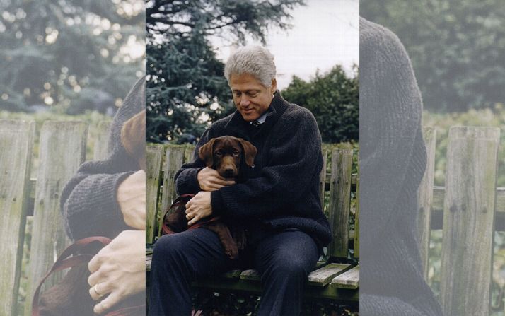 Bill Clinton (1993 – 2001) con su nuevo perro, posteriormente nombrado Buddy, un cachorro labrador chocolate de tres meses. El cachorro se unió al gato de la Casa Blanca, Socks. Crédito: Hulton Archive