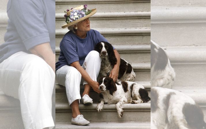La entonces primera dama de Estados Unidos, Barbara Bush, con los perros Millie y Ranger en los escalones del Pórtico Sur de la Casa Blanca, Washington el 28 de abril de 1991, mientras espera que regrese el presidente George H. W. Bush (1989 - 1993). Crédito: JENNIFER LAW / AFP a través de Getty Images