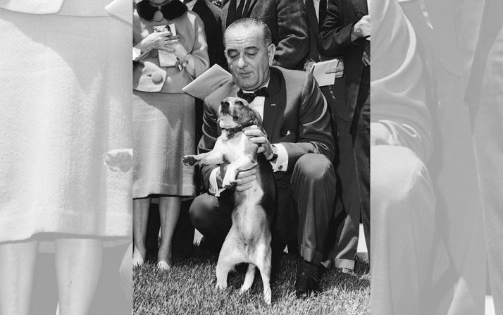El presidente Lyndon Baines Johnson (1963 - 1969) acaricia a su beagle Him en el césped de la Casa Blanca en1964. Foto: Pictorial Parade / Getty Images