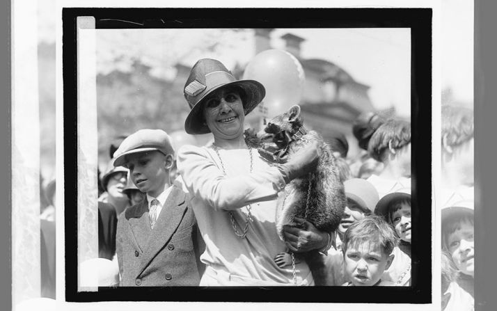 Calvin Coolidge (1921 – 1923) y su familia tuvieron varias mascotas, entre ellas un mapache llamado Rebecca que estaba destinada a ser una plato dentro de la fiesta de Acción de Gracias. En su lugar, la primera dama, Grace Coolidge, mandó a construir una casa en el árbol para Rebecca. Fuente: Biblioteca del Congreso de Estados Unidos.