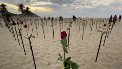 CNNE 1018293 - mira por que la playa de copacabana quedo cubierta de rosas