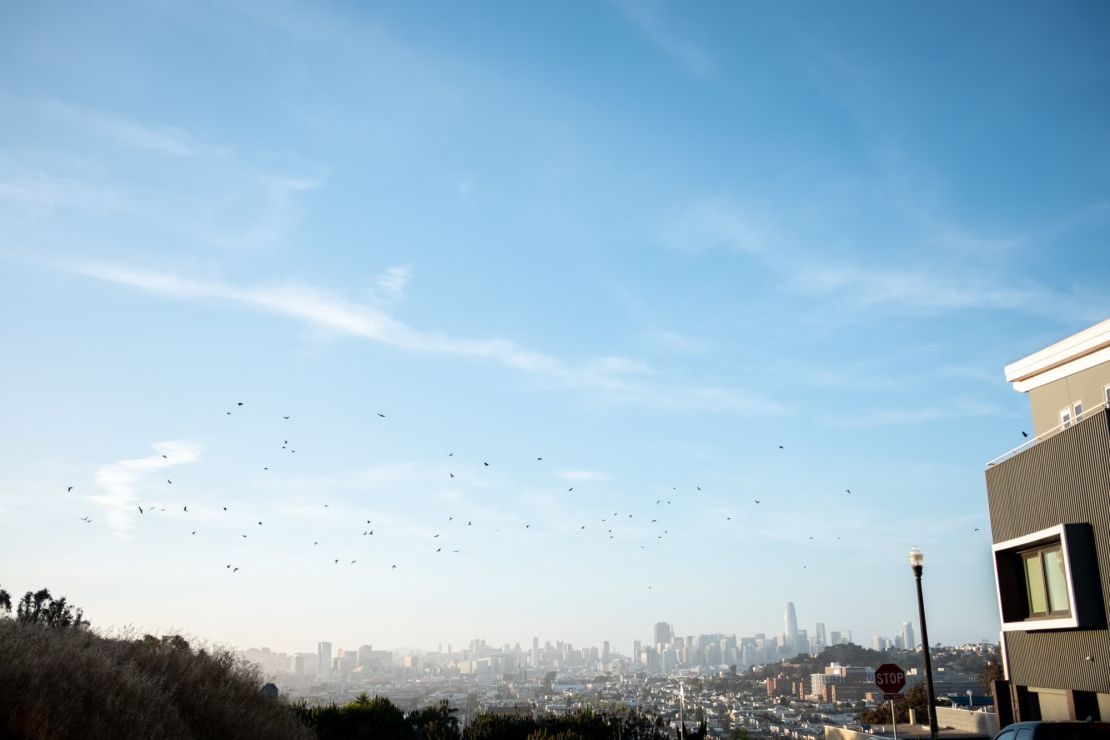 Los pájaros vuelan contra el horizonte de San Francisco visto desde el barrio donde viven las Monterrosas.