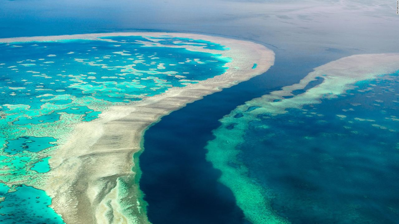 CNNE 1019081 - la gran barrera de coral enfrenta a la onu y a australia