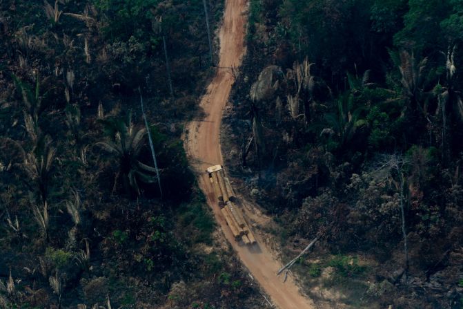 Las selvas pierden humedad cuando se talan los árboles, lo que a su vez provoca temperaturas más altas y más sequía. Esta vista aérea muestra un camión que transporta troncos de árboles a lo largo de una carretera en una zona deforestada en los alrededores de Boca do Acre, una ciudad del estado de Amazonas, en Brasil en 2019.