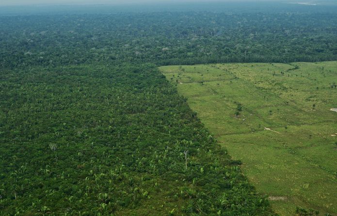 Los bosques tropicales realizan alrededor del 20% de toda la fotosíntesis que tiene lugar en la tierra. Por esto son un importante sumidero de dióxido de carbono. Esta foto muestra la deforestación en el Amazonas brasileño en 2017.