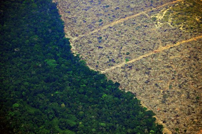 En 2019, la deforestación en el Amazonas en Brasil se disparó en un 30%. Esta imagen muestra un terreno deforestado cerca de una zona afectada por los incendios ese año en el estado de Rondonia.
