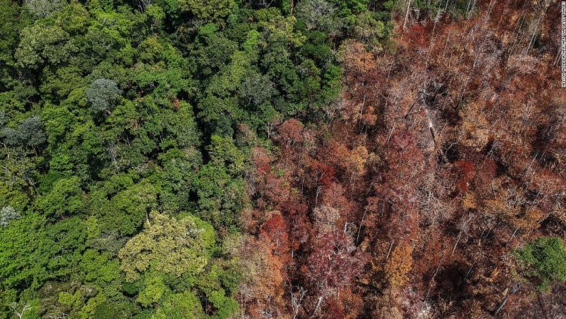 Esra imagen muestra áreas quemadas cerca de Moraes Almeida, en el estado brasileño de Pará, en septiembre de 2019. Los expertos alertan sobre los vínculos entre la deforestación y los incendios.