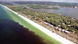 CNNE 1019337 - florida, bajo la amenaza de la marea roja