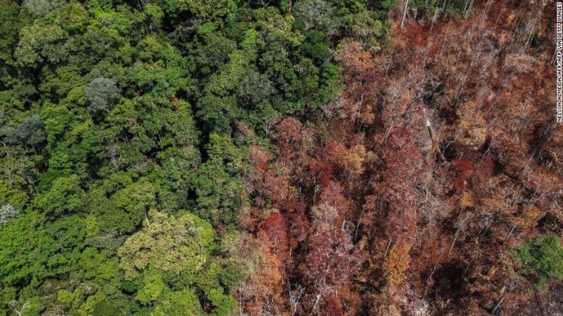 Áreas quemadas cerca de Moraes Almeida en el estado brasileño de Pará se muestran en septiembre de 2019. Los expertos dicen que existe un fuerte vínculo entre la deforestación y los incendios en la selva amazónica.