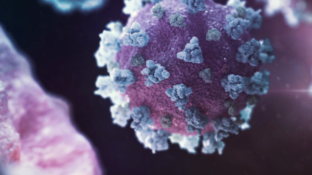 CNNE 1019983 - nueva variante coronavirus