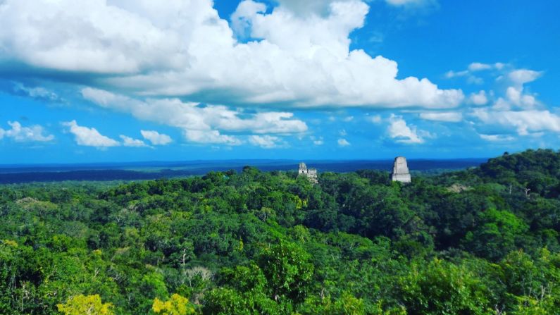 "Fotografía tomada en el 2 de enero del año 2021, disfrutando de unos días de vacaciones familiares en el Parque Nacional de Tikal, en el departamento del Petén, Guatemala". Wilton Franco, @FrancoWilton