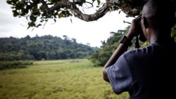 CNNE 1020588 - gabon recibe pago para proteger sus bosques